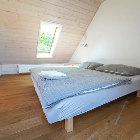 Kokorin Country house Vysoka (Melnik)